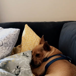 Meet your Posher, Sonja